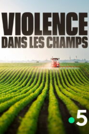Violence dans les Champs