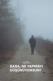 Baba, What’s Your Plan?