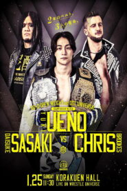 DDT Mission in Battle ~new year splendor~