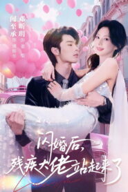 闪婚后，残疾大佬站起来了