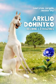 Dominykas the Horse’s Journey to the Stars