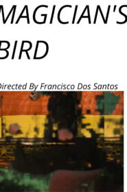 Magician’s Bird