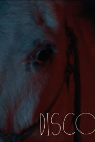 Disco
