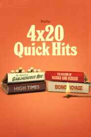 4×20: Quick Hits