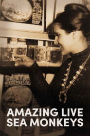 Amazing Live Sea Monkeys