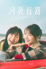 A Moonlight Nights Passing