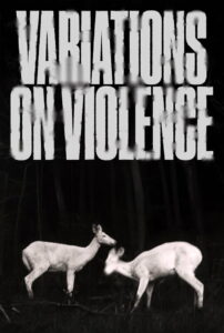 Variations on Violence