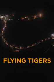 Flying Tigers