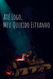 So Long, My Dear Stranger
