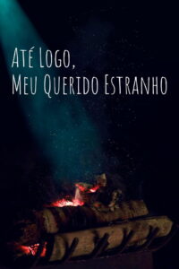 So Long, My Dear Stranger