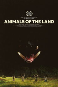 Animals of the Land
