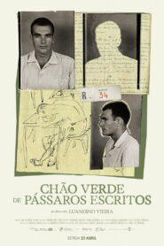 Chão Verde de Pássaros Escritos