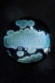 Holy Destructors