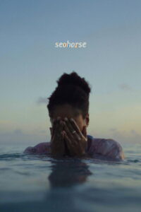 Seahorse