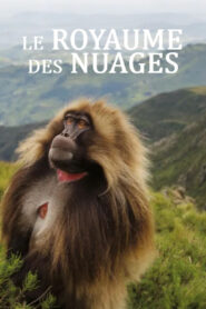 Le royaume des nuages