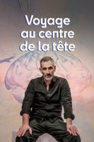 Voyage au centre de la tête