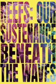 Reefs: Our Sustenance Beneath the Waves