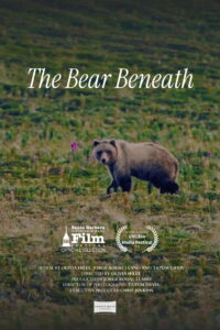 The Bear Beneath
