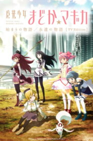 魔法少女まどか☆マギカ 始まりの物語／永遠の物語 TV Edition