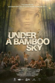 Under a Bamboo Sky