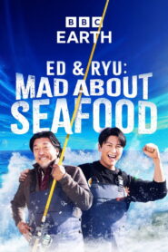 Ed and Ryu: Mad About Seafood
