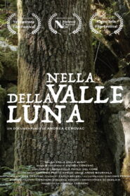 Nella Valle della Luna