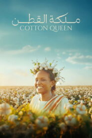 Cotton Queen