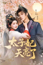 太子妃天亮了
