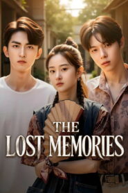 The Lost Memories