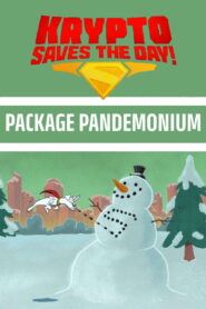 Krypto Saves the Day!: Package Pandemonium