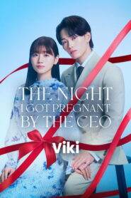 The Night I Got Pregnant By the CEO