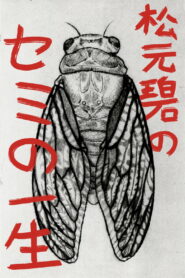 Midori Matsumoto’s: The Life Cycle Of A Cicada