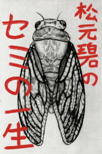 Midori Matsumoto’s: The Life Cycle Of A Cicada