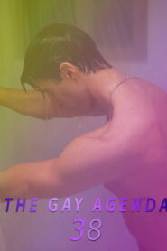 The Gay Agenda 38