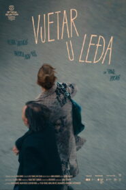 Wind Beneath the Wings