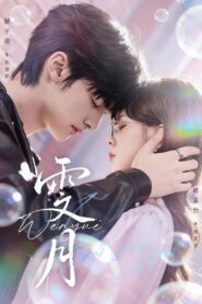 雯月 (月沉望野)