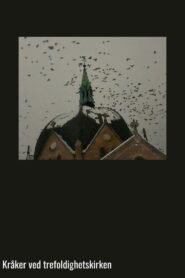 Crows at Trinity Church