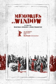 Memories of a Window