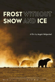 Frost Without Snow and Ice