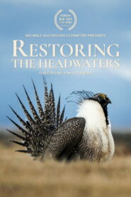 Restoring the Headwaters